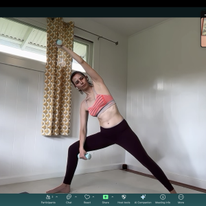 Somatic Movement - Strength and Mobility - Personalized Sessions Online